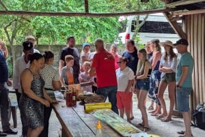 Rio San Juan Guia de 6 horas Gri-Gri Lagoon - Mangove Tour