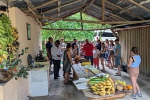 Rio San Juan Guia de 6 horas Gri-Gri Lagoon - Mangove Tour