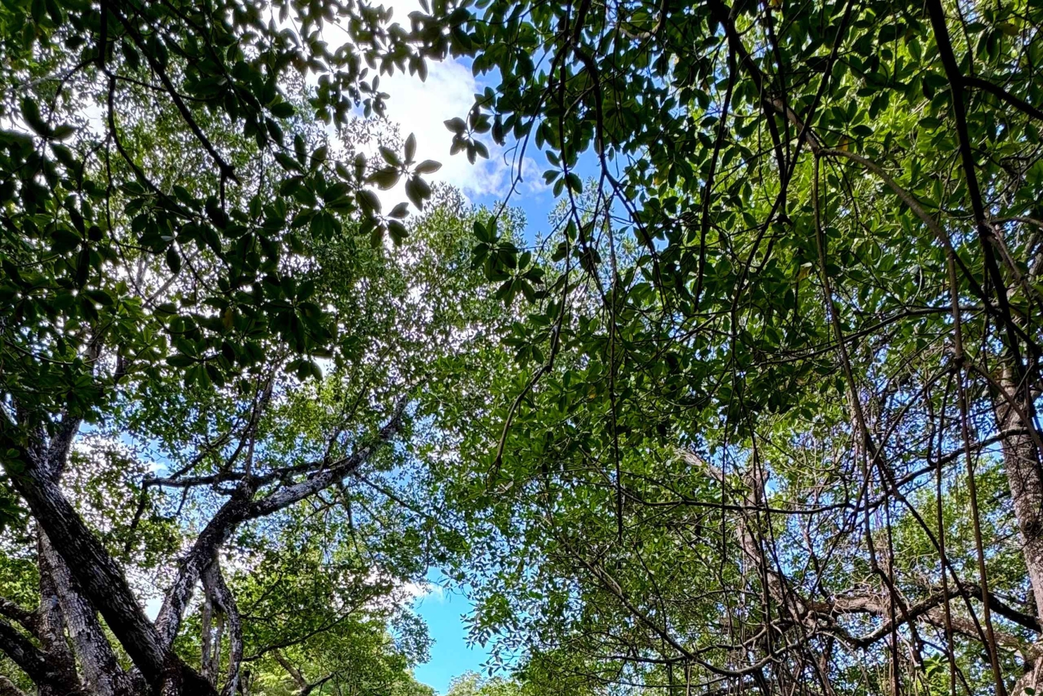 Rio San Juan: Private Tour & Bootsfahrt & Versteckte Juwelen