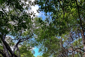 Rio San Juan: Private Tour & Bootsfahrt & Versteckte Juwelen