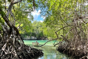 Rio San Juan: Private Tour & Bootsfahrt & Versteckte Juwelen