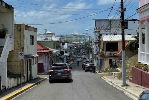 Rio San Juan: Private Tour & Bootsfahrt & Versteckte Juwelen