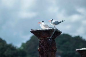 Sabana de la Mar: Los Haitises Guided Hike and Kayaking