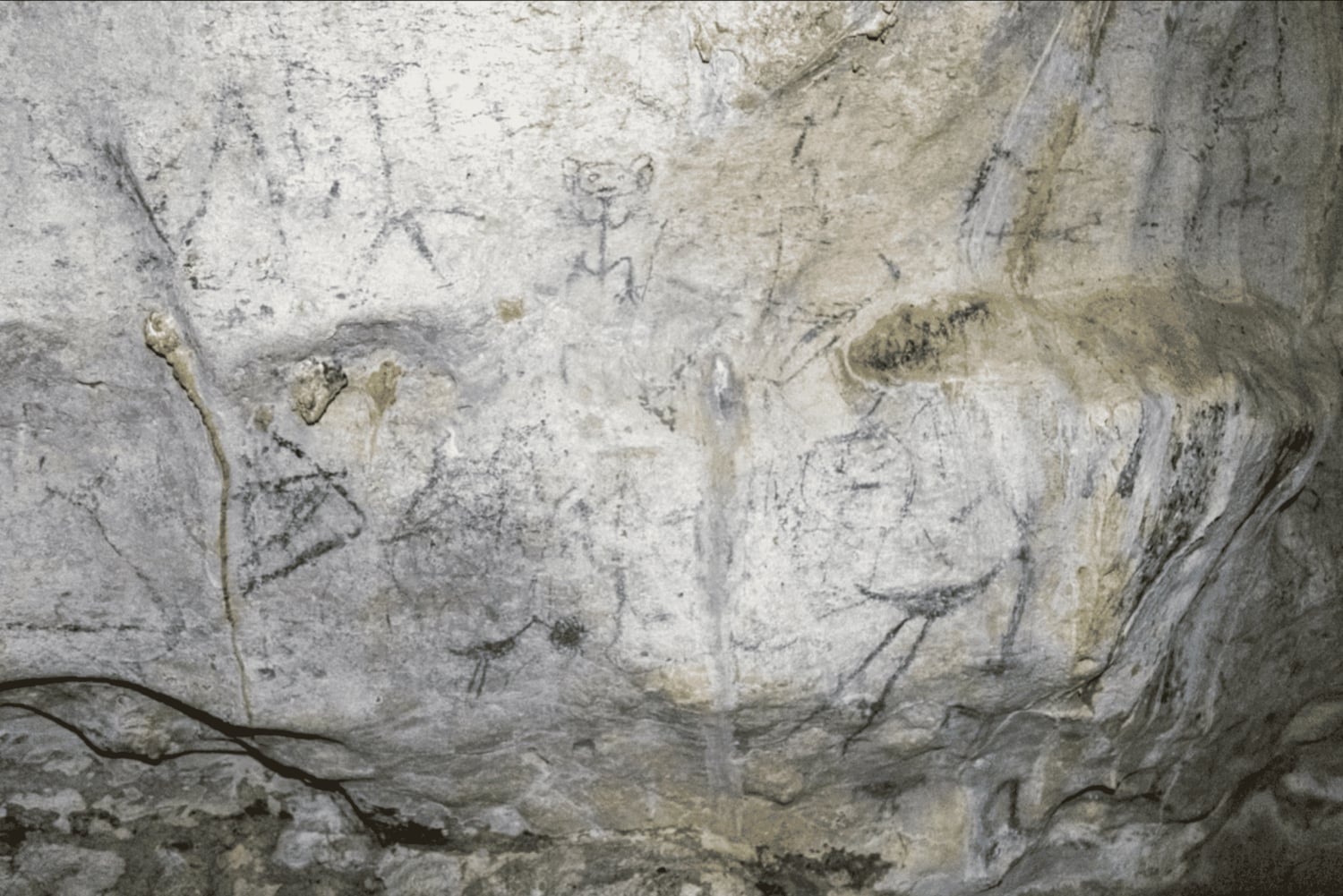 Sabana de la Mar: Excursión de un día al Parque Nacional de Los Haitises Gratis