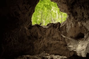 Sabana de la Mar : Excursion d'une journée dans le parc national de Los Haitises Gratuit