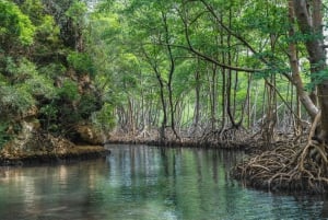 Sabana de la Mar: Excursión de un día al Parque Nacional de Los Haitises Gratis