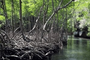 Sabana de la Mar: Los Haitises National Park Day Trip Free