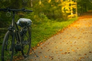 Sabana de la Mar: Los Haitises Park cykel- och båttur