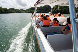 Sabana de la Mar: Los Haitises Park Bike and Boat Tour