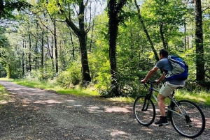 Sabana de la Mar: Los Haitises Park Bike and Boat Tour