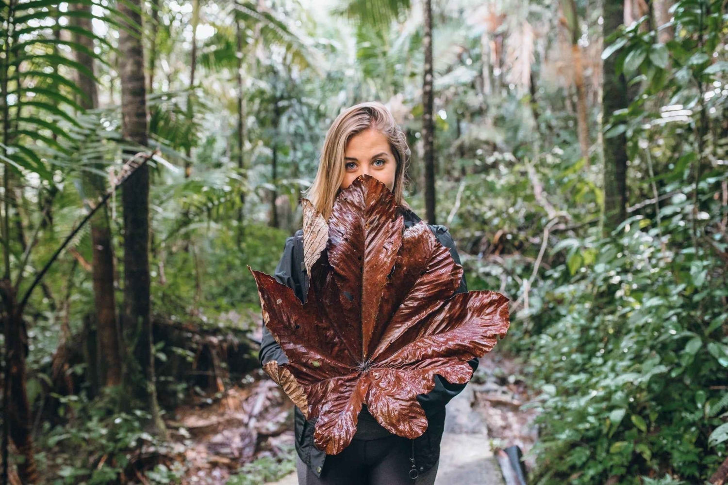 Sabana de la mar: Salto Limon, Cayo Levantado med lunsj