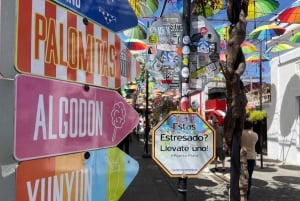 Sabor Dominicano: From Roots to Riches Flavors Tour
