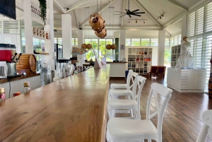 Sabor Dominicano: From Roots to Riches Flavors Tour