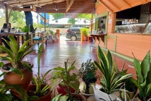 Sabor Dominicano: From Roots to Riches Flavors Tour