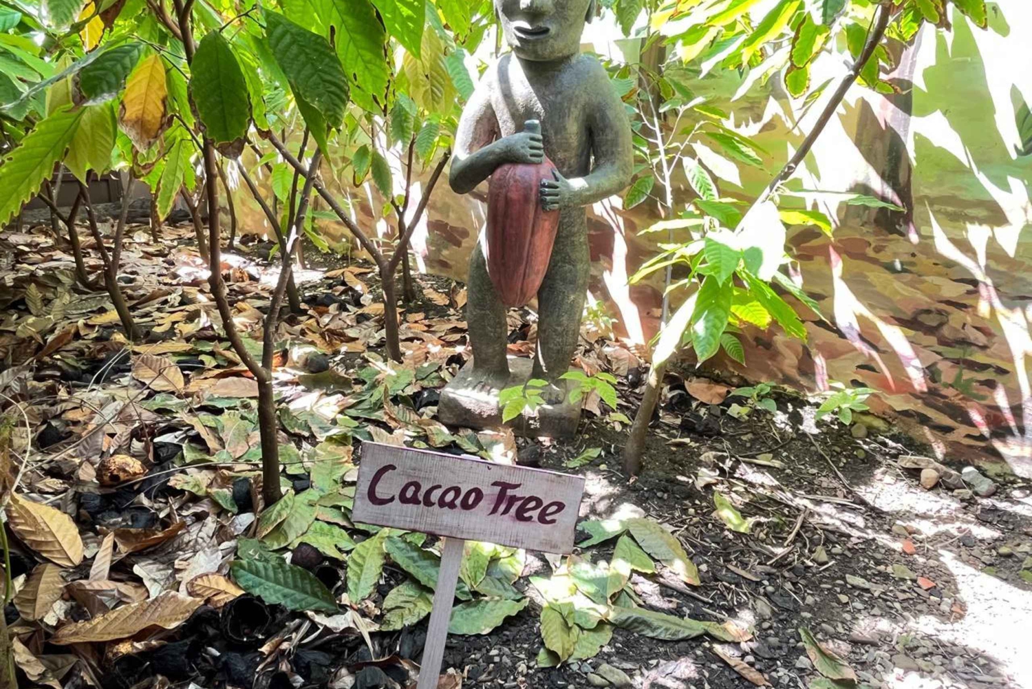 Sabor Dominicano: Da Raiz à Riqueza dos Sabores