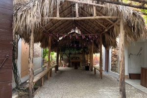 Sabor Dominicano: Da Raiz à Riqueza dos Sabores