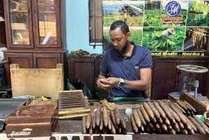 Sabor Dominicano: Da Raiz à Riqueza dos Sabores