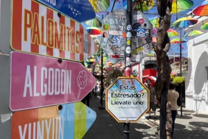 Sabor Dominicano: Da Raiz à Riqueza dos Sabores