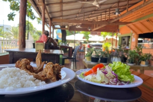 Sabor Dominicano: Da Raiz à Riqueza dos Sabores