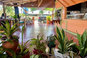 Sabor Dominicano: Da Raiz à Riqueza dos Sabores