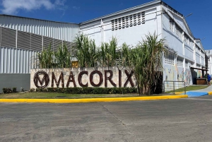 Sabor Dominicano: Da Raiz à Riqueza dos Sabores