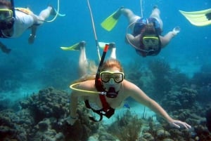 セーリング・スプラッシュツアースピードボート、シュノーケリング、カタマラン