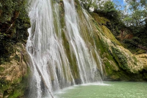 Samaná All Inclusive Trip - Bacardi Island & Limón Waterfall