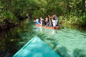 Samana: Excursão de 1 dia a Samana Amazing em Punta Cana