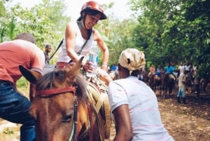 Samana: Całodniowa wycieczka Samana Amazing tour Punta Cana