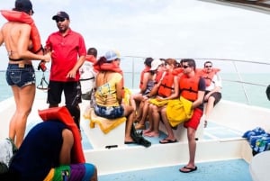Punta Cana: Cana Cana: Samaná Whale Watching ja El Limón -päiväretki