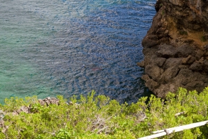 Samana Bay: Cayo Levantado Snorkeling i kajakarstwo