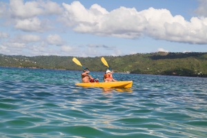 Samana Bay: Cayo Levantado Snorkeling i kajakarstwo