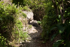 Samana Bay: Cayo Levantado Snorkeling i kajakarstwo
