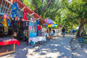 Samaná Bay Eco Whale Watching + Cayo Levantado & El Limón