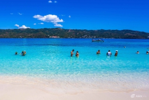 Samaná Bay Eco Whale Watching + Cayo Levantado & El Limón