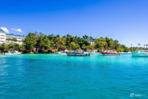 Observação de baleias na baía de Samaná + Cayo Levantado e El Limón