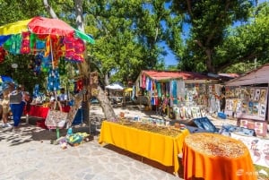 Observação de baleias na baía de Samaná + Cayo Levantado e El Limón