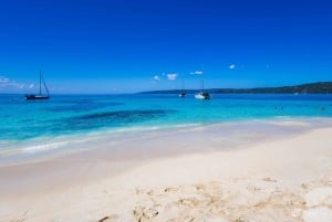 Observação de baleias na baía de Samaná + Cayo Levantado e El Limón