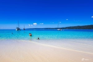 Observação de baleias na baía de Samaná + Cayo Levantado e El Limón