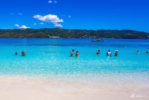 Observação de baleias na baía de Samaná + Cayo Levantado e El Limón