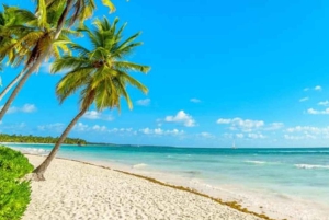 Samaná: viagem de catamarã a Cayo Levantado com almoço