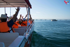 Samana : Excursion d'une journée à Cayo Levantado en bateau