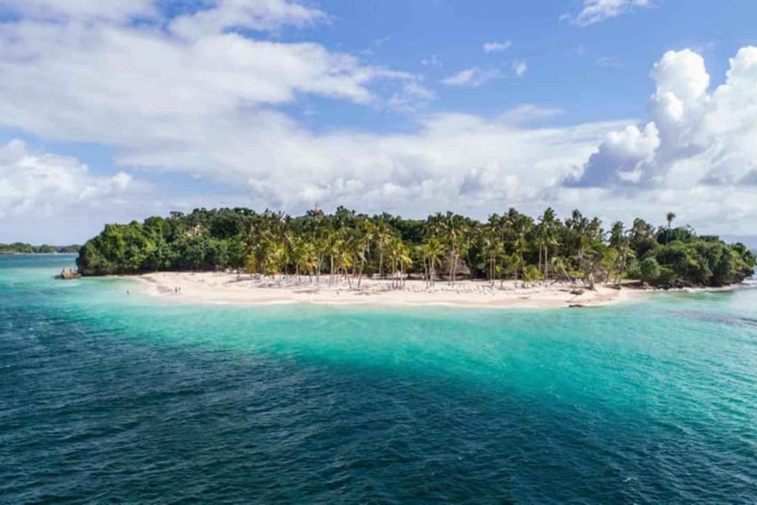 Samaná: Dagstur til Cayo Levantado med katamaran