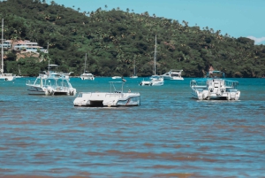 Samaná: Cayo Levantado Day Trip