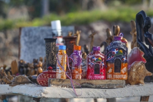 Samaná: Cayo Levantado Day Trip