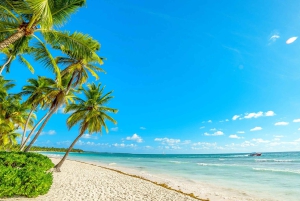 Samana: Cayo Levantado with Transportation Included