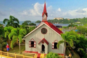 Samana: Byrundtur + hvalsafari + Cayo Levantado