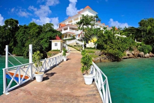 Samaná Coastal Explorer: Cayo Levantado & Limon Fall