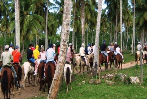 Samaná Coastal Explorer: Cayo Levantado & Limon Fall