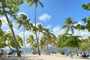 Samana Rincon Beach og Cayo Levantado fra Punta Cana